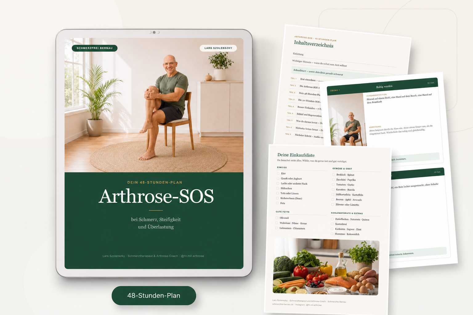 Arthrose-SOS Innenseiten Vorschau